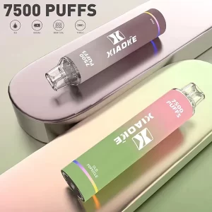 XiaoKe 7500 Puffs